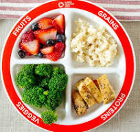 Balanced Plate For Toddlers