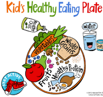 Balanced Plate For Toddlers