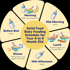 Formula Feeding Schedule