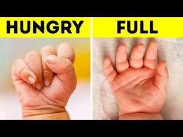Formula Feeding Schedule